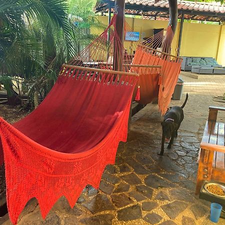 Хостел Tamarindo Backpackers Экстерьер фото