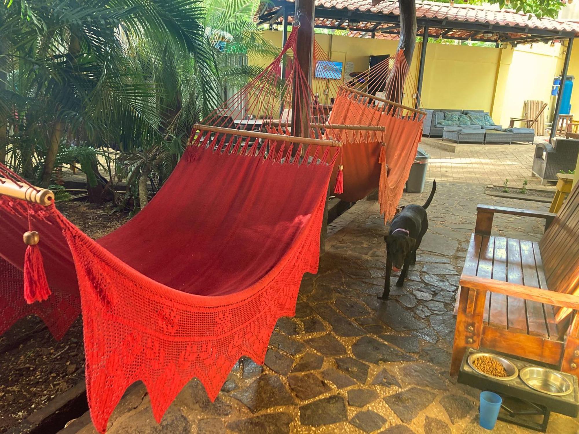 Хостел Tamarindo Backpackers Экстерьер фото