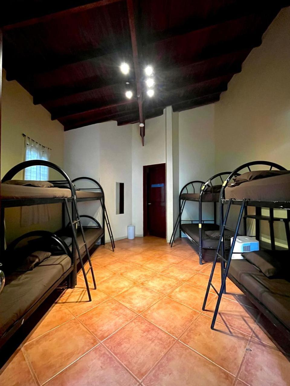 Хостел Tamarindo Backpackers Экстерьер фото